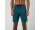 Mystic Brand Boardshorts