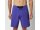 Mystic Brand Boardshorts