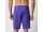 Mystic Brand Boardshorts