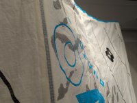 Duotone Evo Concept Blue 2024 8.0 gebraucht