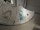 Duotone Evo Concept Blue 2024 8.0 gebraucht