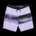 Mystic Region Boardshort