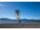 Flysurfer FOX 1.5 Trainerkite
