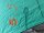 Duotone Unit 2026 5.5 fresh-green inkl. Handles gebraucht