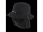 Mystic Surf Hat Warm Sand