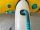 Duotone Unit SLS 2026 6.0 inkl. Boom gebraucht