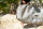Duotone Wing Boardbag Mid-length 2027