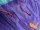 Duotone Rebel SLS 2026 7.0 purple/green gebraucht