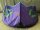 Duotone Rebel SLS 2026 8.0 purple/green gebraucht