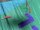 Duotone Evo 2026 11.0 green gebraucht