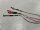 Duotone Click Bar Quad Control 2026 M/22-24 inkl. Freeride Loop